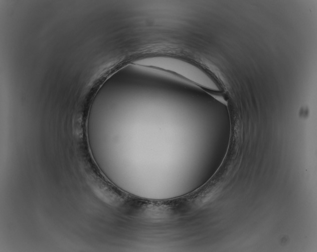 X0000092260403200710121343