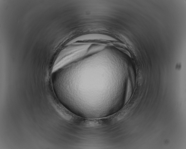 X0000092260405200710121343