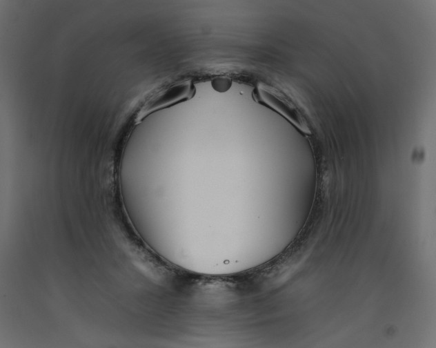 X0000092260407200710121343