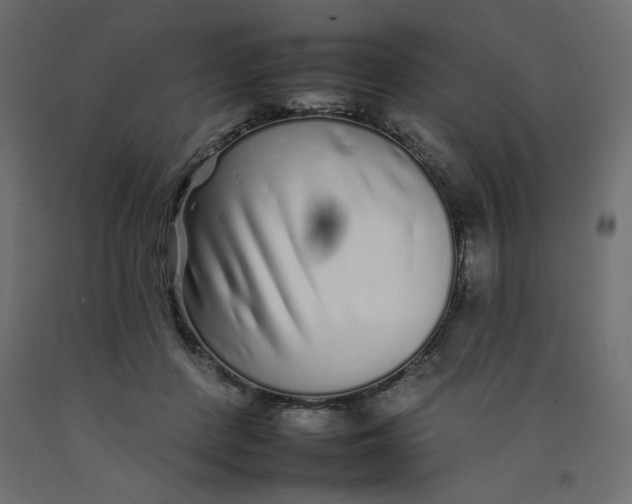 X0000092260408200710121343