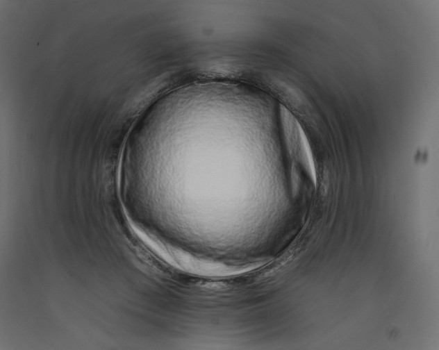 X0000092260409200710121343