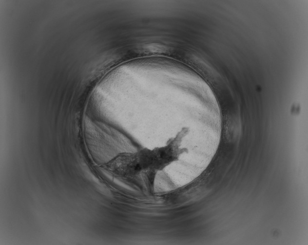 X0000092260410200710121343