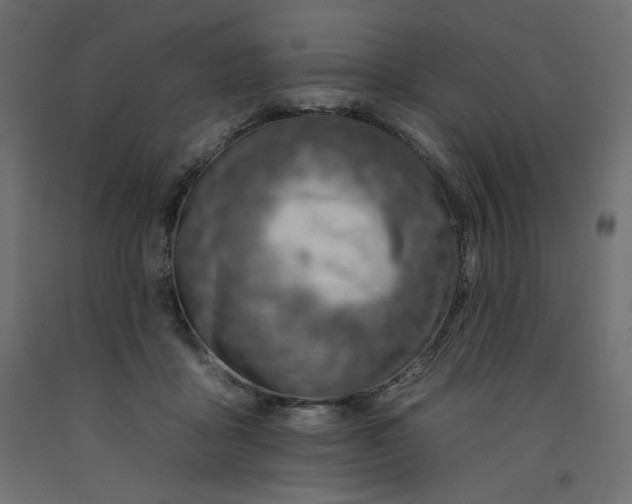 X0000092260411200710121343