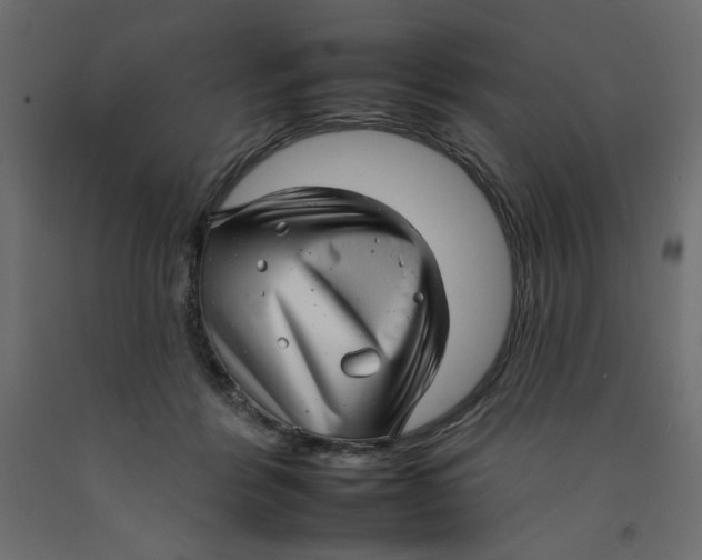 X0000092260412200710121343