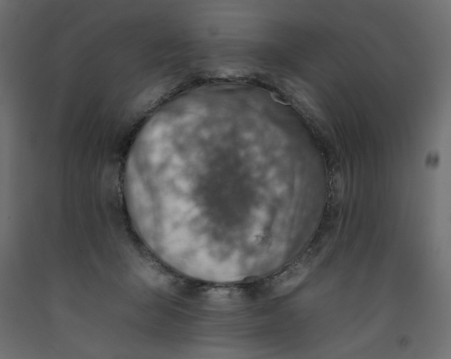 X0000092260415200710121343