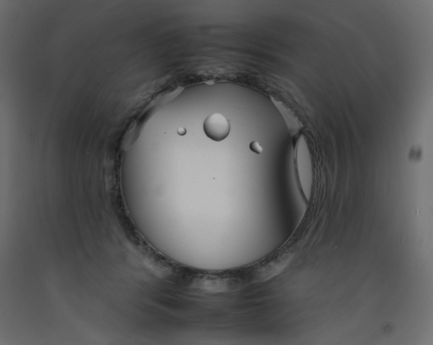 X0000092260416200710121343