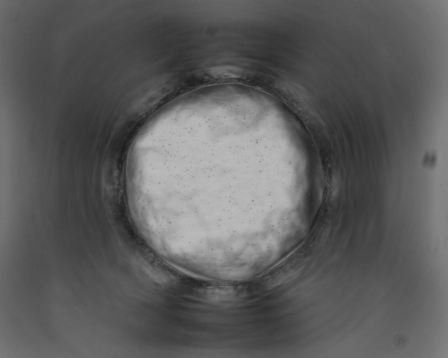 X0000092260418200710121343