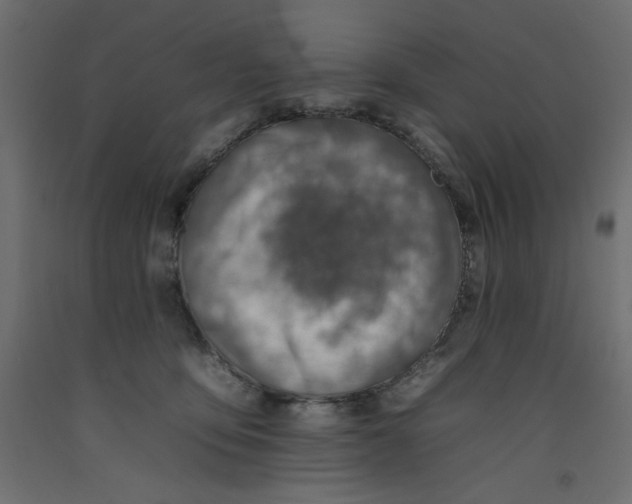 X0000092260419200710121343