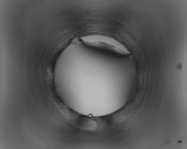 X0000092260420200710121343