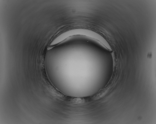 X0000092260421200710121343