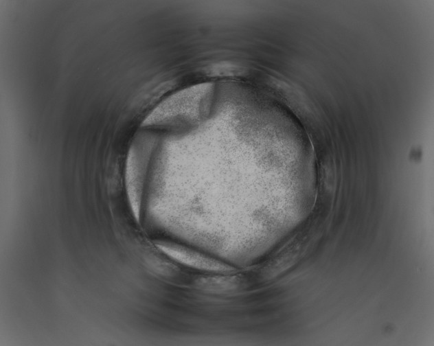 X0000092260422200710121343