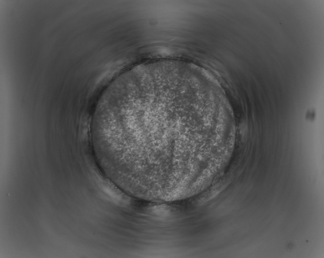 X0000092260423200710121343