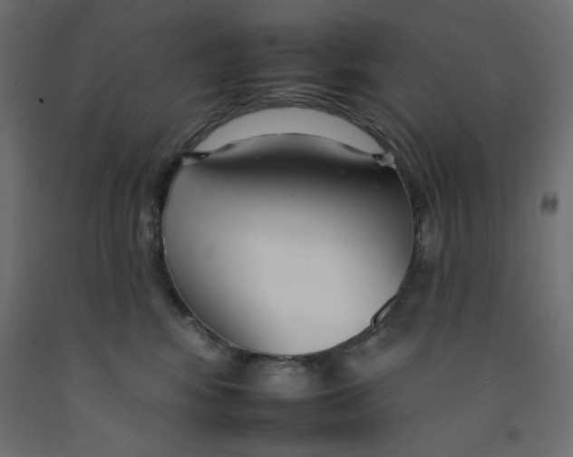 X0000092260424200710121343