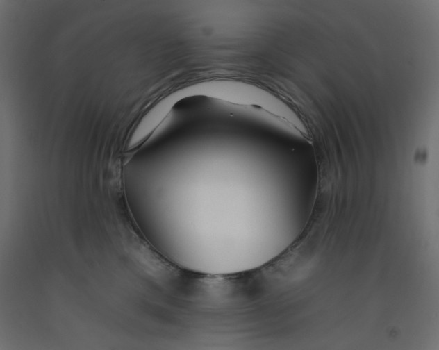 X0000092260425200710121343