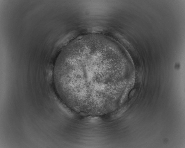 X0000092260427200710121343