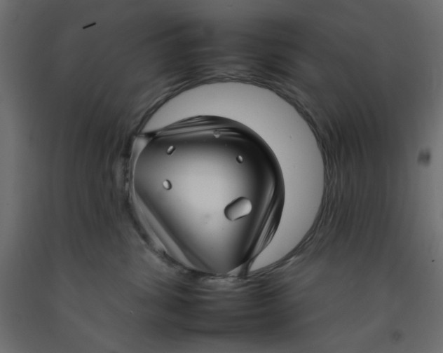 X0000092260428200710121343