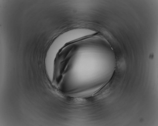 X0000092260429200710121343