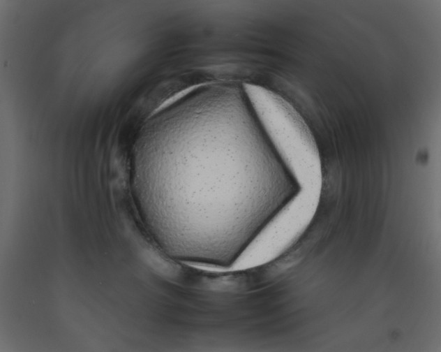 X0000092260430200710121343