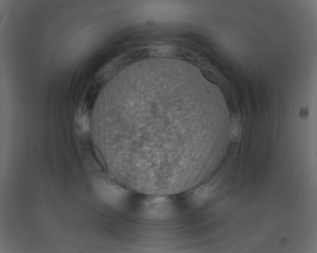 X0000092260431200710121343