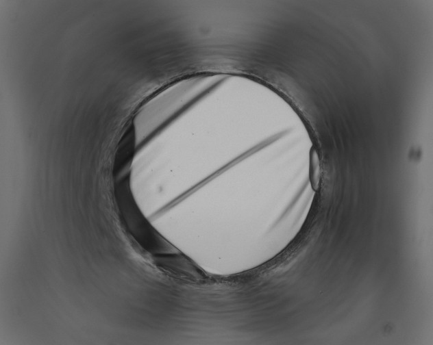 X0000092260433200710121342