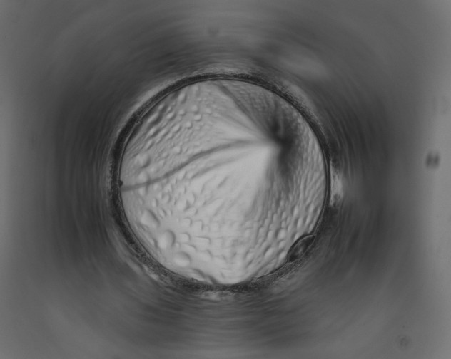 X0000092260435200710121342