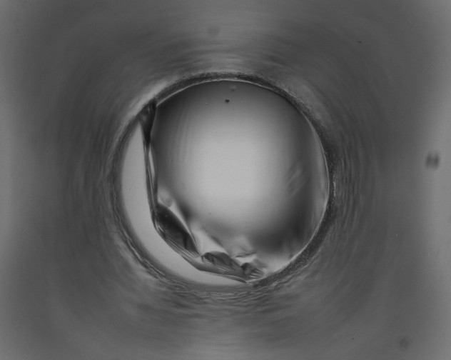 X0000092260436200710121342