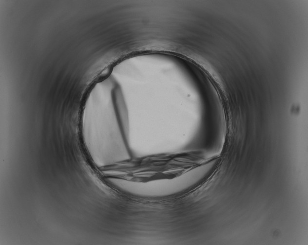 X0000092260437200710121342