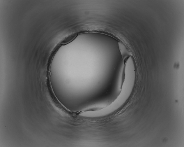 X0000092260438200710121342