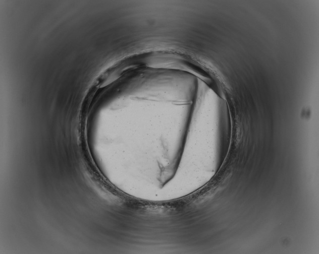 X0000092260439200710121342