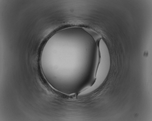 X0000092260440200710121342