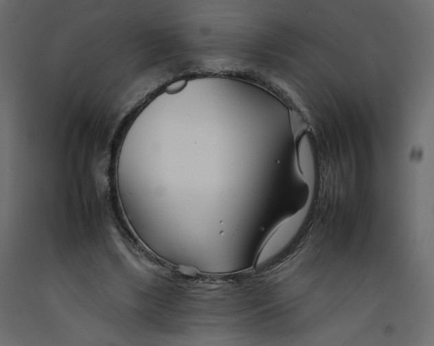 X0000092260443200710121343