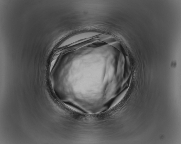 X0000092260444200710121343