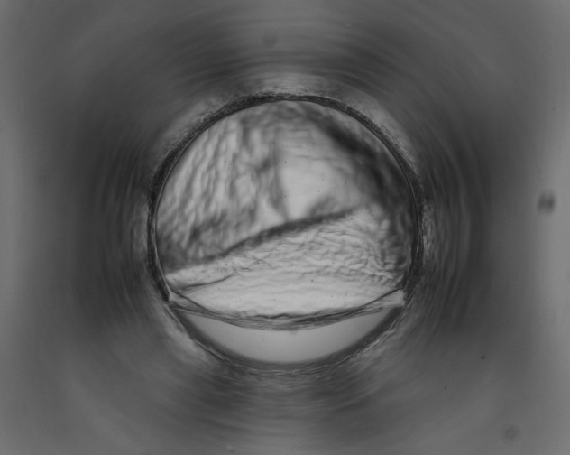 X0000092260445200710121343