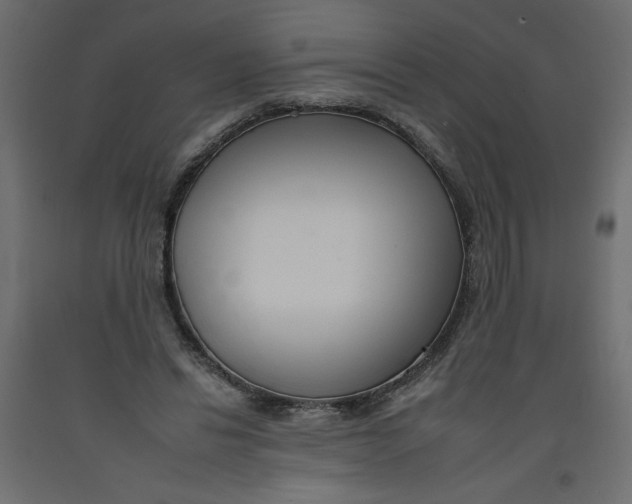 X0000092260446200710121343