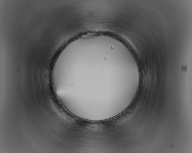 X0000092260447200710121343