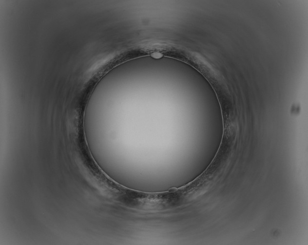 X0000092260448200710121343