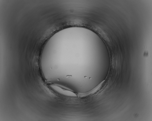 X0000092260449200710121343