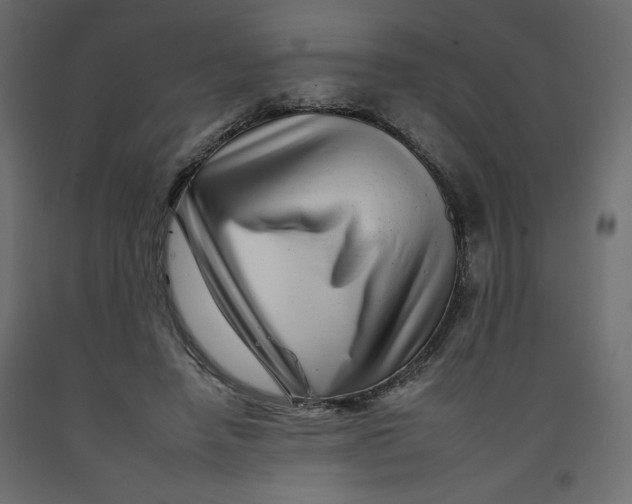 X0000092260450200710121343