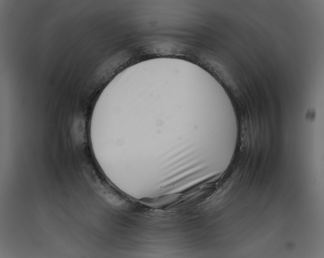 X0000092260453200710121343