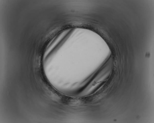 X0000092260454200710121343