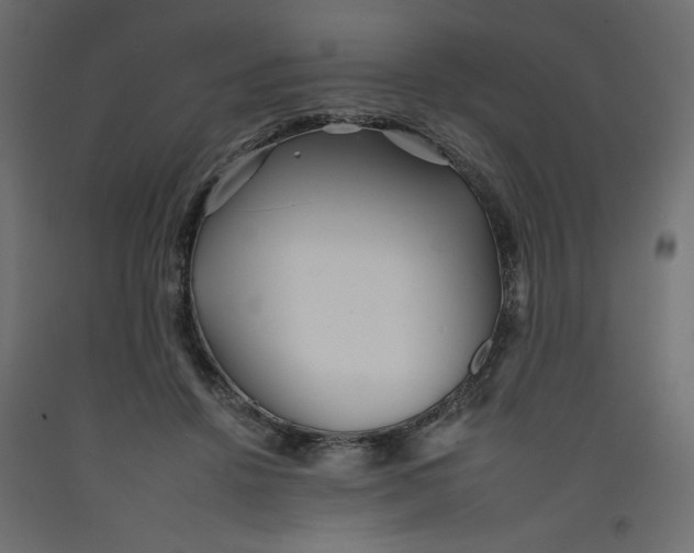 X0000092260456200710121343