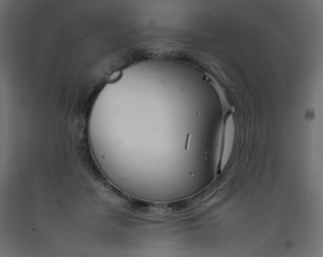 X0000092260458200710121343