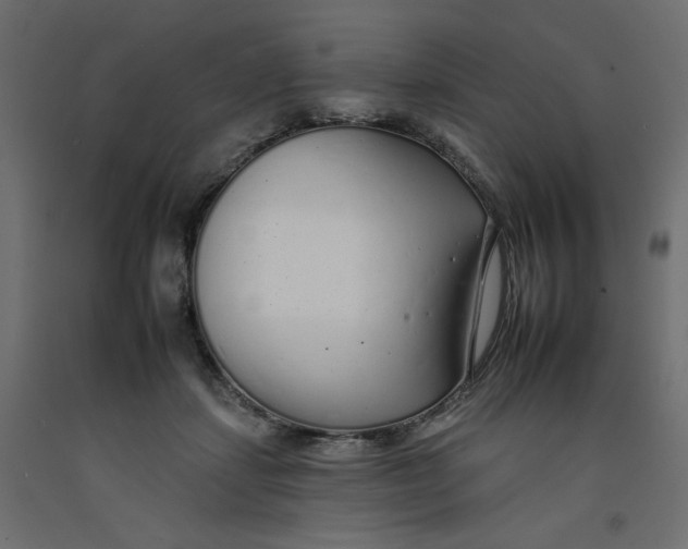 X0000092260459200710121343