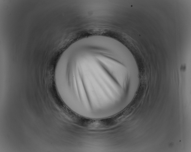 X0000092260460200710121343