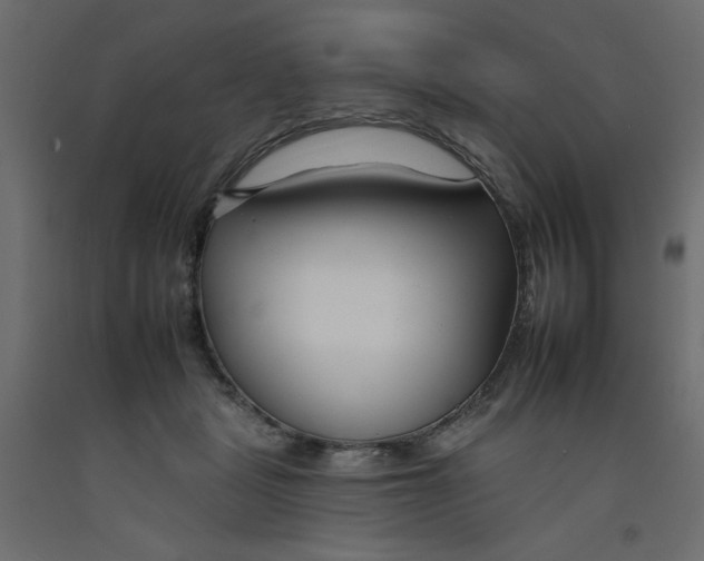 X0000092260461200710121343