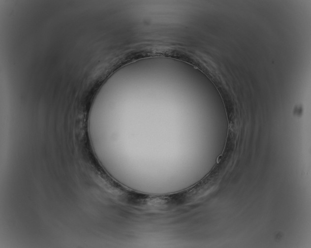 X0000092260462200710121343