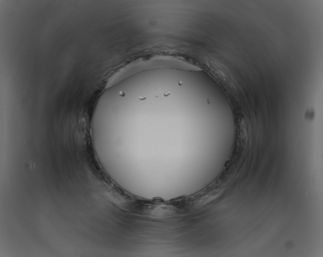 X0000092260463200710121343