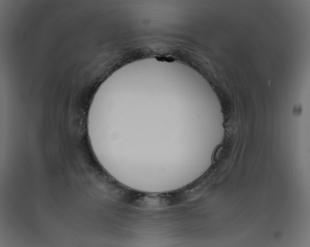 X0000092260464200710121343