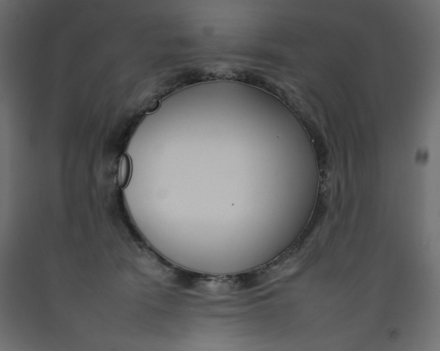 X0000092260466200710121343