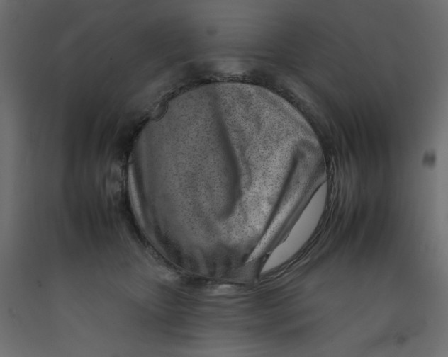 X0000092260467200710121343